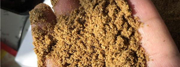發(fā)酵過程泡沫的形成及控制？